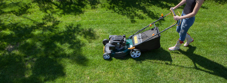 Gartenpflege Pflichten von Mieter und Vermieter