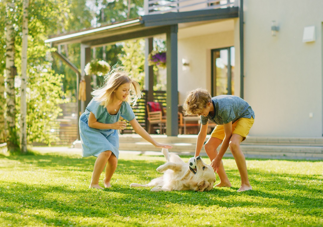 Grundstücksbewertung Hero Image 