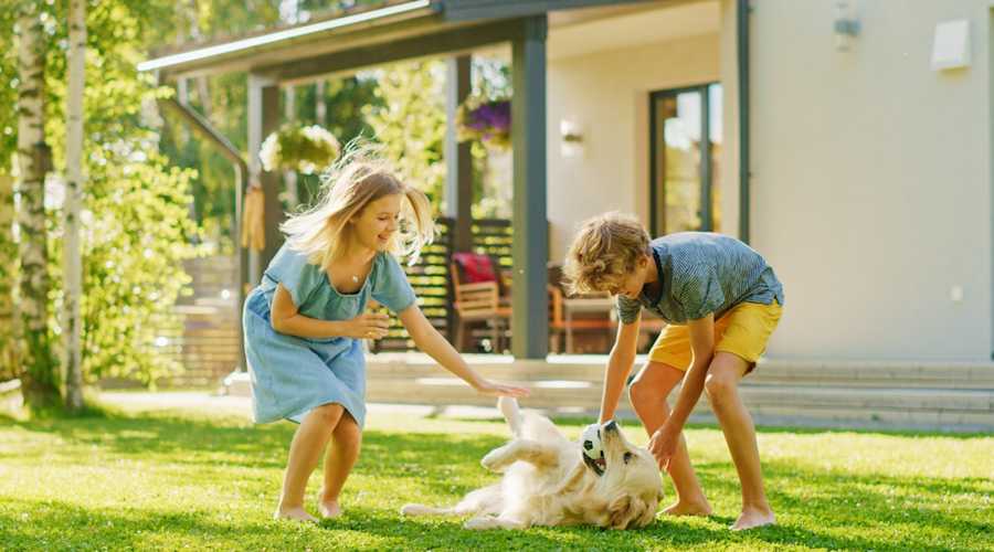 Grundstücksbewertung Hero Image