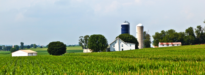 Unterschied zwischen Miete und Pacht