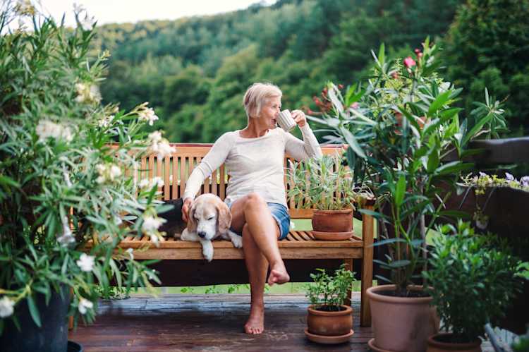 Modelle der Immobilienverrentung